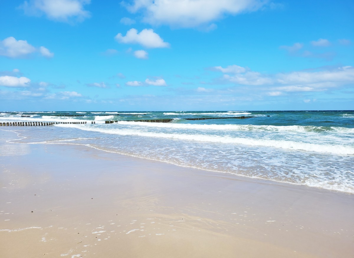 Veranstaltungszentrum Konzerthaus Veranstaltungszentrum Bauen im Bestand Open Air Architektenleistungen Machbarkeitsstudie Zuschauerraum Raumprogramm Analyse Kosrenschätzung Standorte